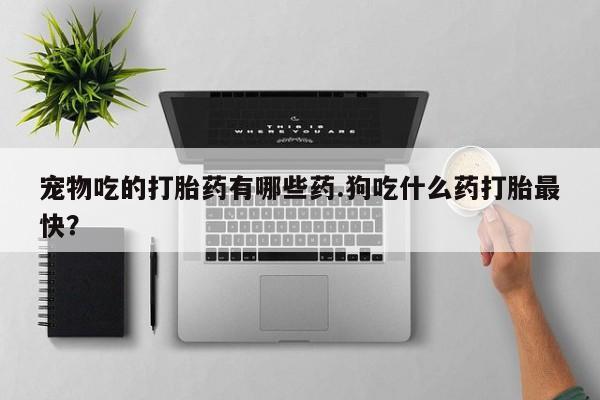 打胎药联系方式宠物吃的打胎药有哪些药.狗吃什么药打胎最快？