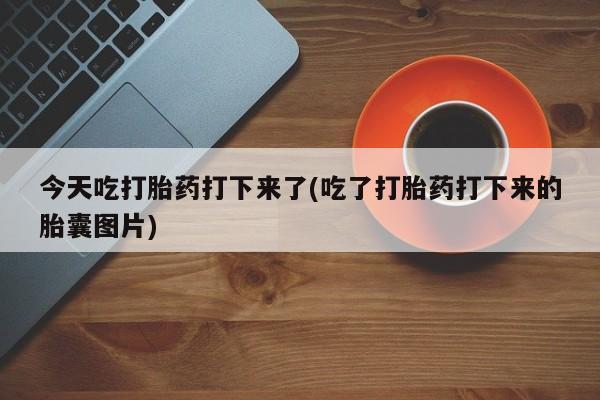 打胎药联系方式今天吃打胎药打下来了(吃了打胎药打下来的胎囊图片)